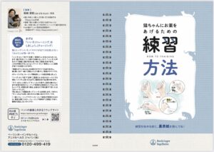 猫に薬を与えるときの練習方法