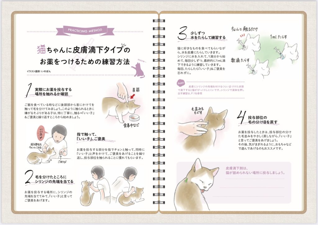 猫に皮膚滴下タイプの薬をつける練習