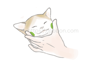 猫の頬骨、猫の頭部の保定
