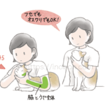 猫の保定法とポイント、飼い主と猫