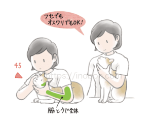 猫の保定法とポイント、飼い主と猫