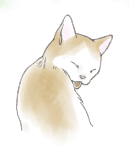 毛繕いをする茶色の猫