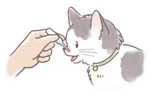 猫の口にスポイトで液剤を飲ませている