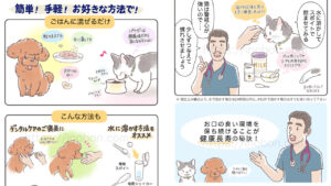 犬用サプリメントをフードに混ぜる方法