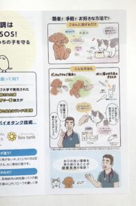 犬や猫、サプリメントの与え方