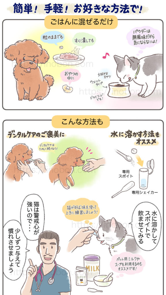 サプリメントの上手な与え方、犬と猫、獣医師