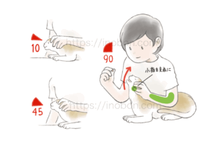 猫の頭部と体を支えて錠剤を飲ませる方法