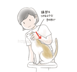 猫の保定技術と練習方法
