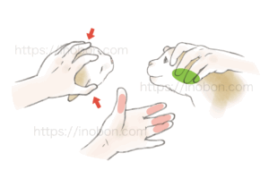 猫の頭部、保定法、動物看護