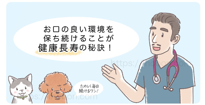 男性の獣医師が口腔ケアを指導している