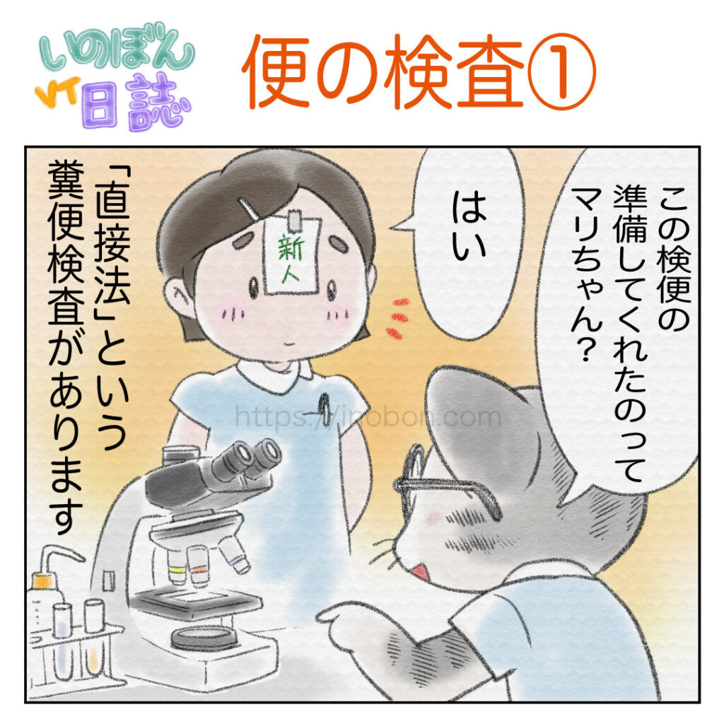 動物病院の漫画、動物看護師が糞便検査をしている場面