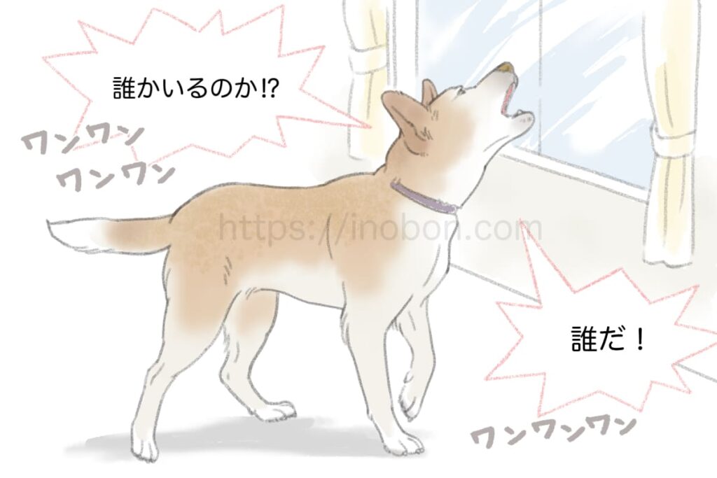 窓の外に向かって、警戒吠えをする犬