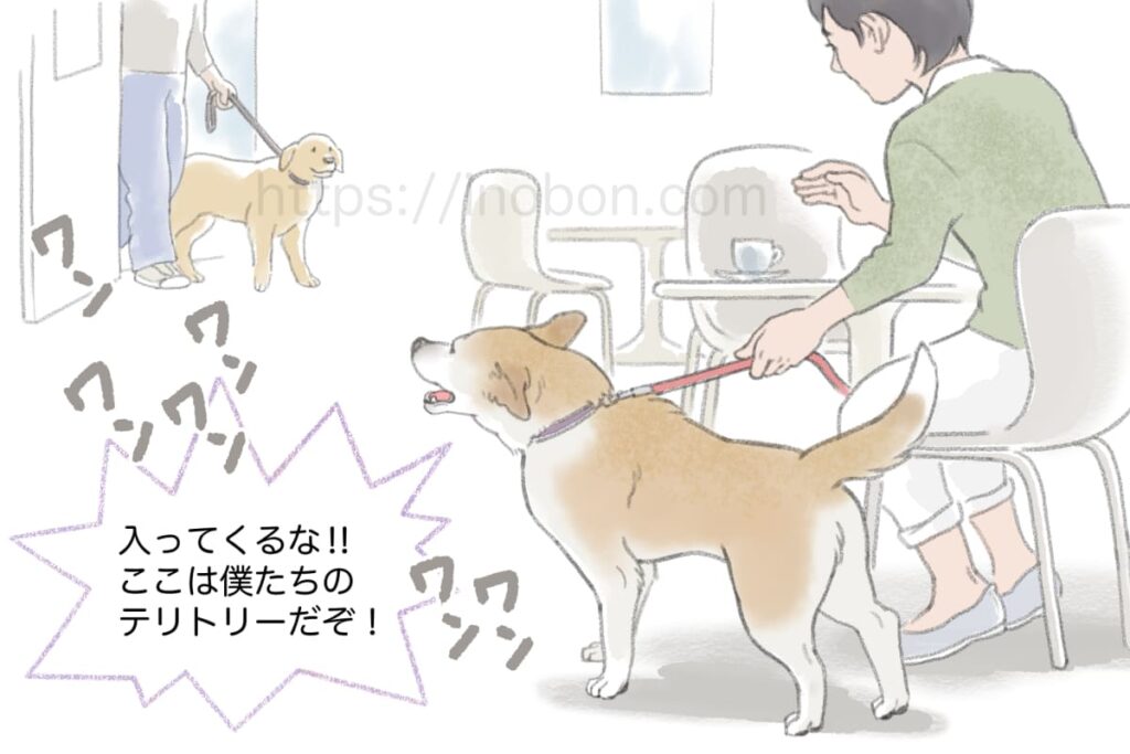ドッグカフェで向こうから近づいて来る他の犬に吠えている