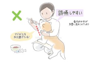 シニアドッグの食事介助