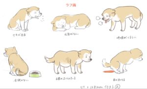 咳、腹水、食欲不振、元気消失、フィラリア症の犬、犬糸状虫