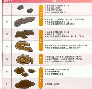 便の状態を分類するスコア