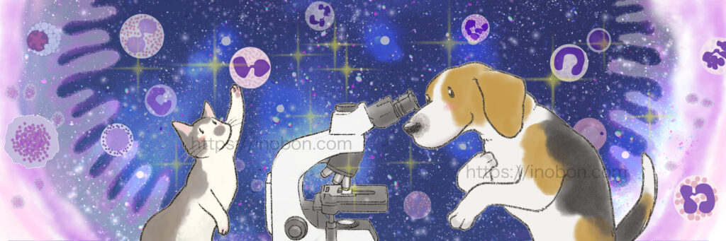 ビーグル犬と猫が顕微鏡を覗いてる、小宇宙のようなミクロの世界