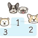 表彰台、採血の難易度が高い犬、ランキング、フレぶる、柴、コーギー