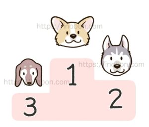 採血が難しい犬のランキング、コーギー、ダックス、ハスキー