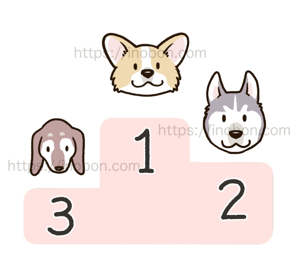 採血が難しい犬のランキング、コーギー、ダックス、ハスキー