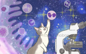 満天の星空、ミクロの世界、顕微鏡