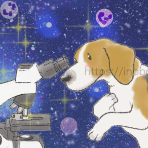 ミクロの美しい世界と顕微鏡を覗く犬、ビーグル