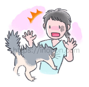 暴れる猫の保定に驚く動物看護師