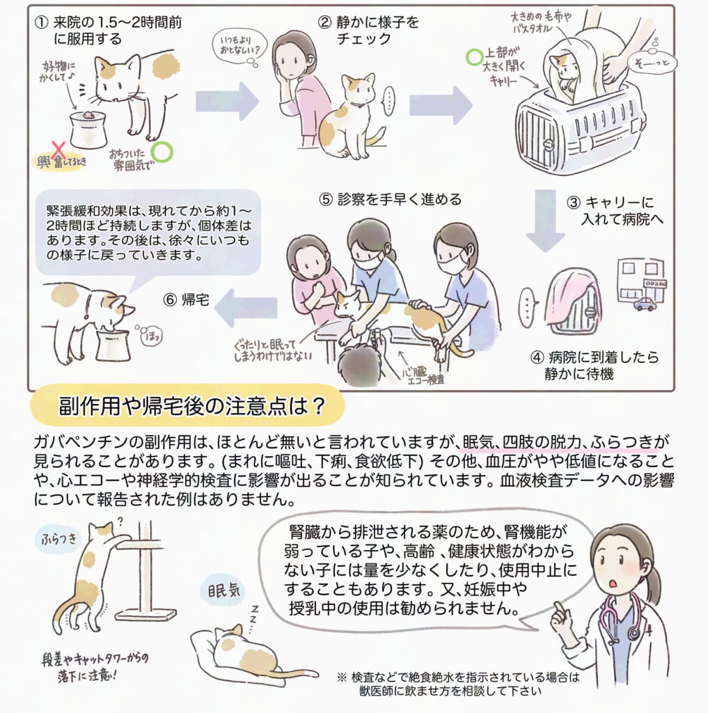 猫のためのガバペンチンの使用量と副作用の解説