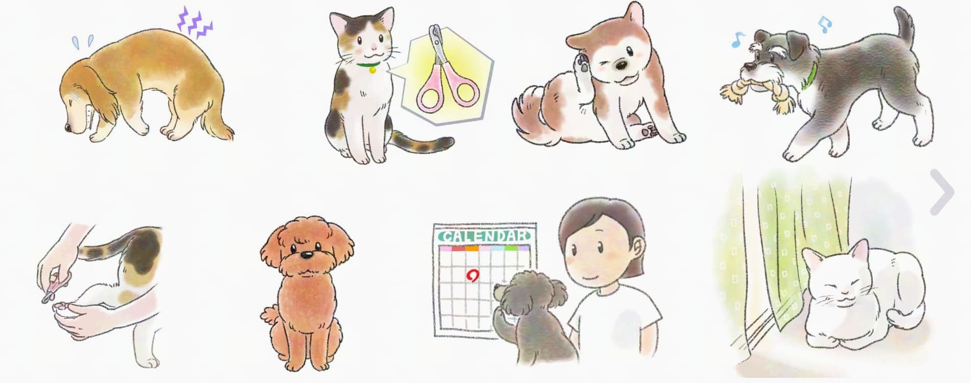 犬や猫のイラスト、ペットの健康管理