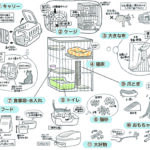 猫を初めて飼う方への準備リスト一覧をイラストで