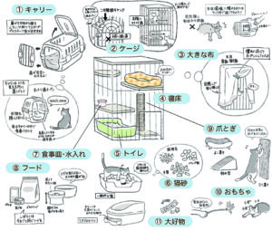 猫を初めて飼う方への準備リスト一覧をイラストで