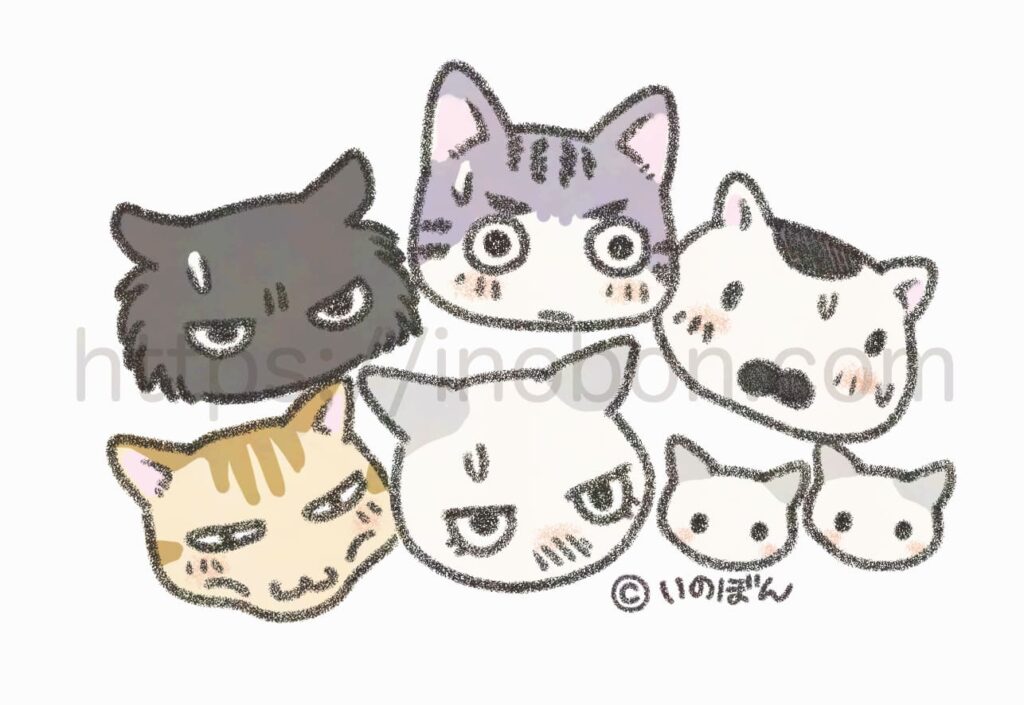 猫キャラクターたちの顔