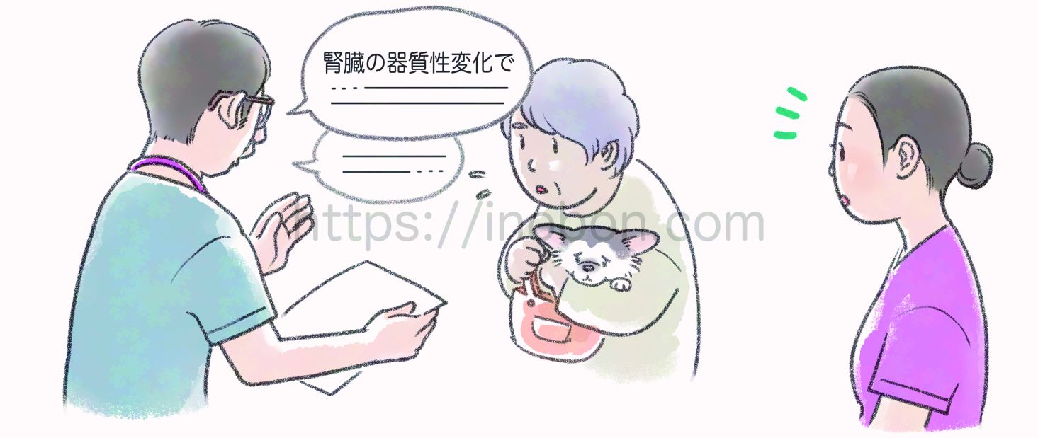 獣医師からの説明内容をお婆さんは理解できずにいる様子、それに気づいた看護師が横で見ている