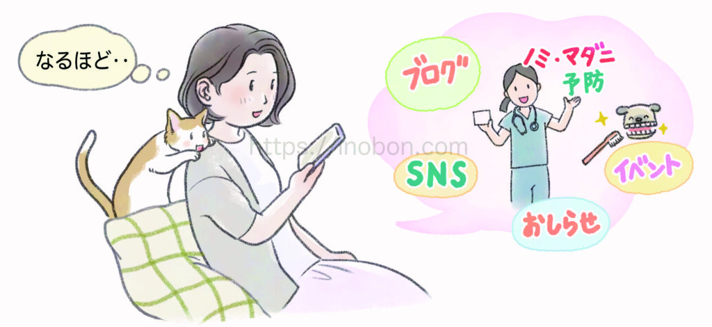 SNS情報やお知らせ、セミナーから情報を得る飼い主の女性、家でスマホを見ている