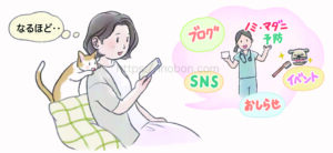 SNS情報やお知らせ、セミナーから情報を得る飼い主の女性、家でスマホを見ている