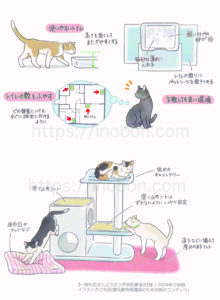 低めのキャットタワー、老猫のためのトイレ、設置する際のポイント