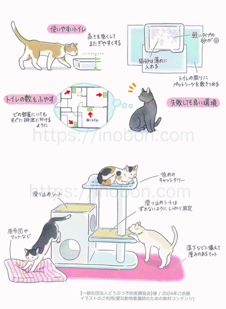 低めのキャットタワー、老猫のためのトイレ、設置する際のポイント