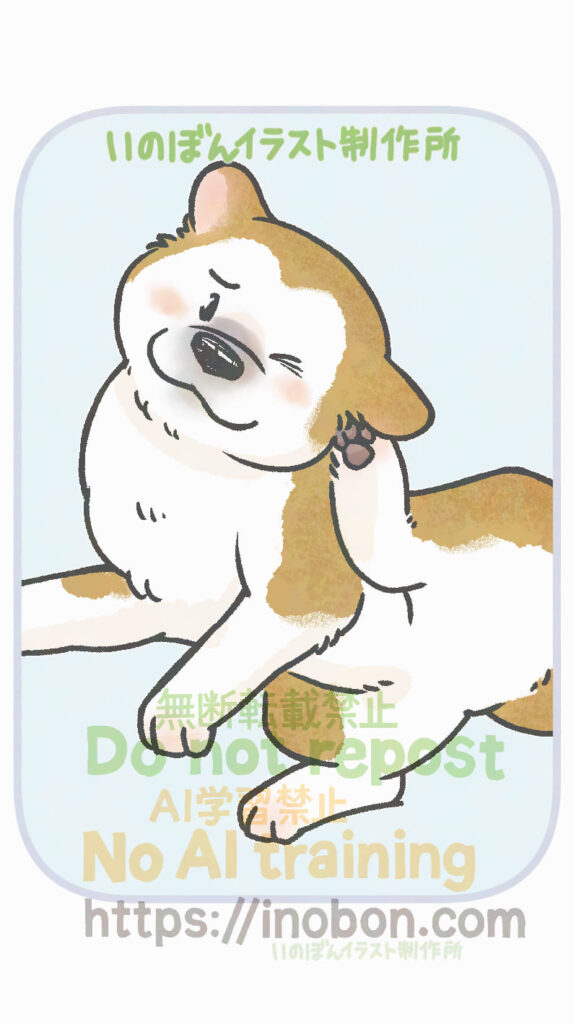 耳を後ろ足で掻いている柴犬