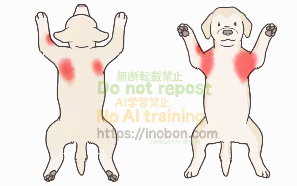 アトピー性皮膚炎の皮疹の分布図と犬の全身イラスト