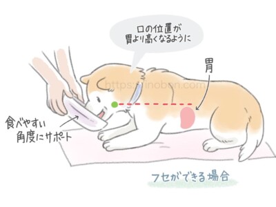 伏せをした犬に飼い主が食事皿を持ってサポートしている