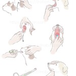犬や猫の口を開けて薬を飲ませるやり方