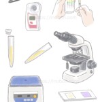 尿検査に使う検査機器