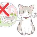 室内飼育の猫と予防ワクチン
