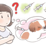 子犬のワクチンを何回接種すればいいのか悩む飼い主の女性 子犬のワクチン注射について考えている女性