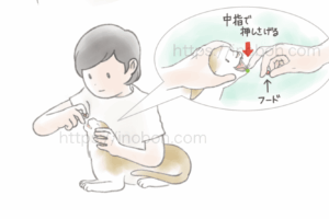猫の口を開いて、飼い主が薬を飲ませている、やり方