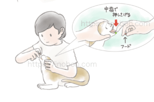 猫の口を開いて、飼い主が薬を飲ませている、やり方