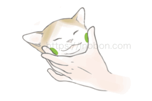 猫の頬骨、猫の頭部の保定