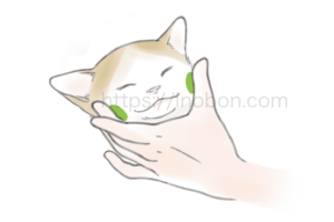 猫の頬骨、猫の頭部の保定
