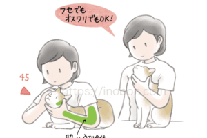 猫の保定法とポイント、飼い主と猫