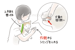 猫の保定、液体の薬をシリンジで与える時のコツ